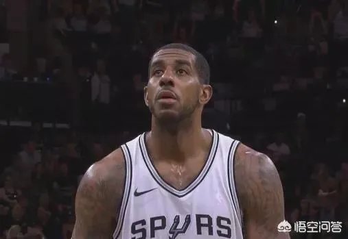 阿尔德里奇受伤，为什么马刺无缘季后赛？