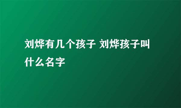 刘烨有几个孩子 刘烨孩子叫什么名字