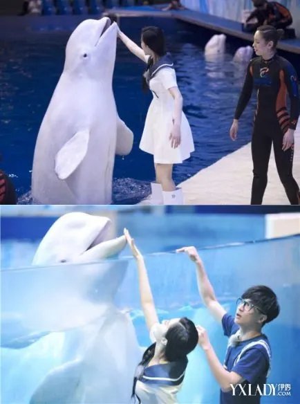 《挑战者联盟》收视高涨范冰冰现场献吻白鲸