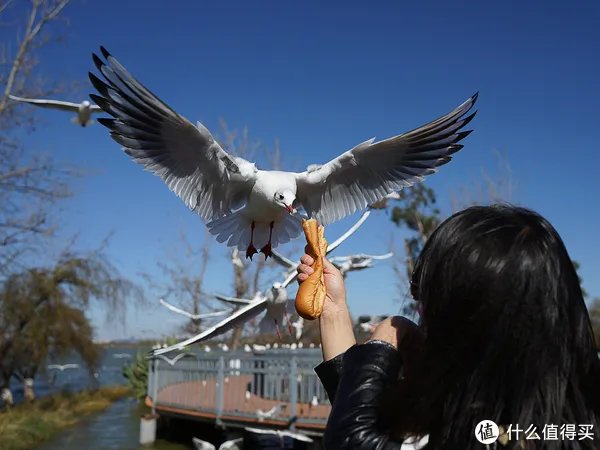 摄影笔记 篇十六：#言出必行#带上SONY A7R2去拍妹子！附拍妹镜头使用心得