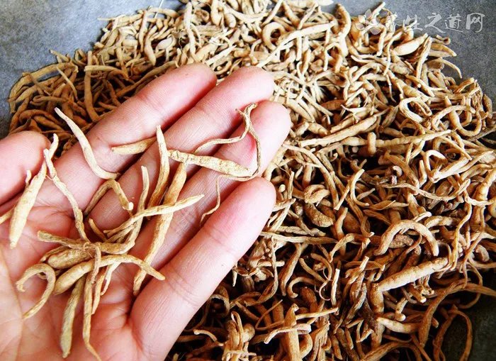 冬季养生汤大全