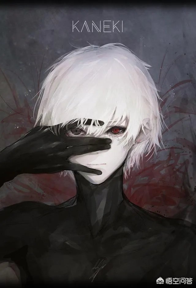 东京食尸鬼从哪里可以看