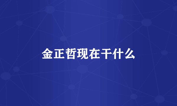 金正哲现在干什么