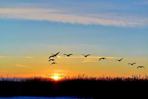 初升的朝阳意指