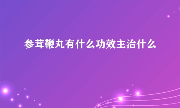 参茸鞭丸有什么功效主治什么