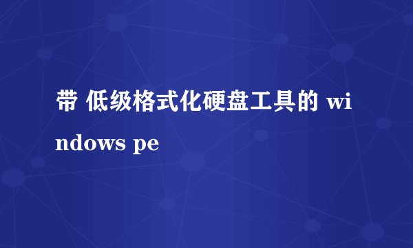 带 低级格式化硬盘工具的 windows pe