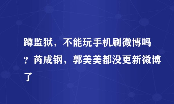 蹲监狱，不能玩手机刷微博吗？芮成钢，郭美美都没更新微博了