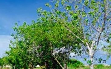 汕尾南天湖神象山风景区 -资料