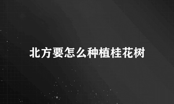 北方要怎么种植桂花树