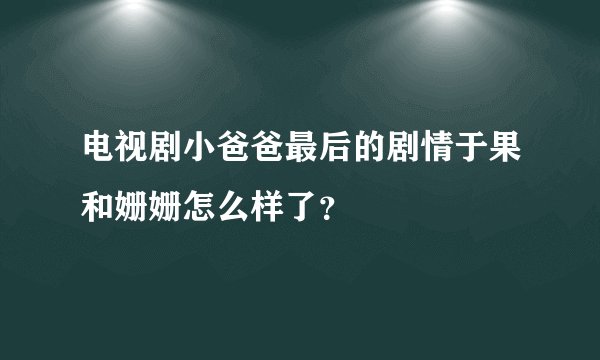 电视剧小爸爸最后的剧情于果和姗姗怎么样了？