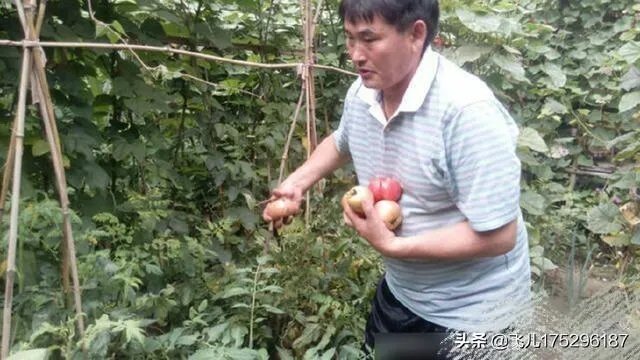 大衣哥朱之文在演艺界成名后，为什么不忘回乡种地？