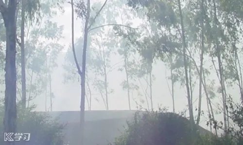 10.31世界勤俭日主题征文范文大全【5篇】