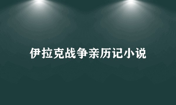 伊拉克战争亲历记小说