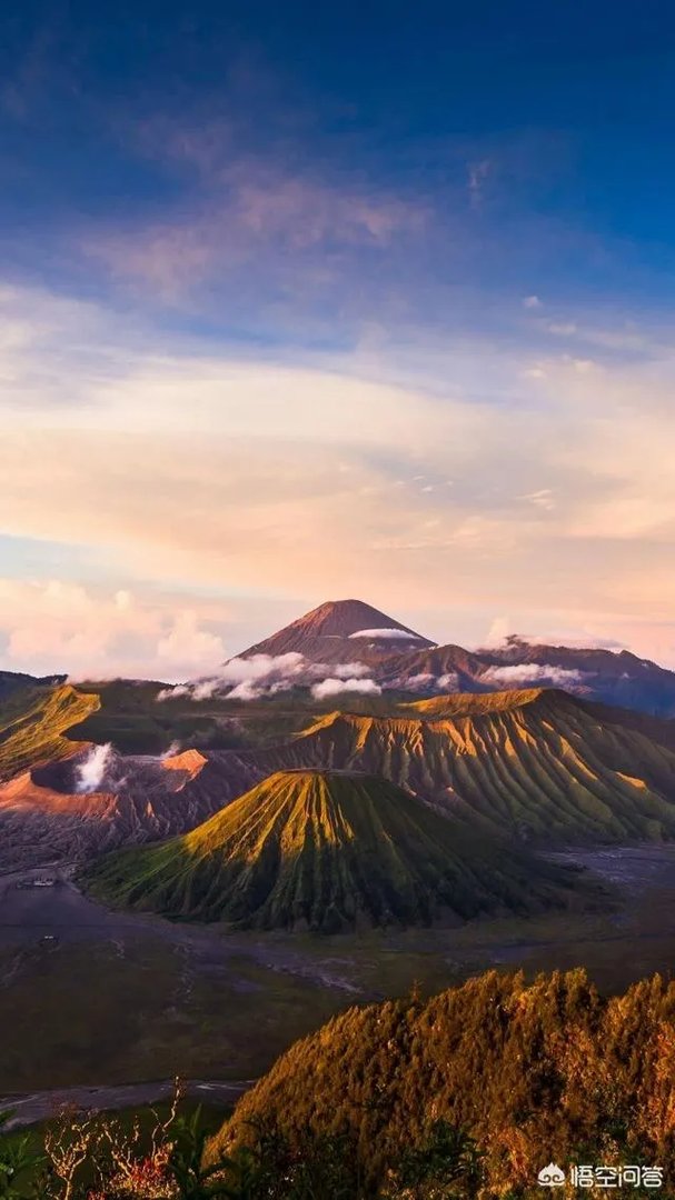 对于咪蒙公众号注销你有什么看法？