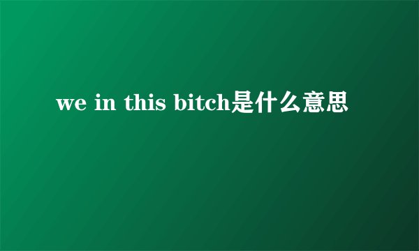 we in this bitch是什么意思