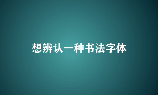 想辨认一种书法字体