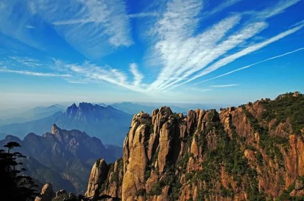 你会用什么方式,让领导开展2.5天弹性休假政策?