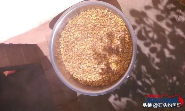 下雨天河边钓鱼，打鱼窝有没有效果，知道的老铁能否分享下经验？