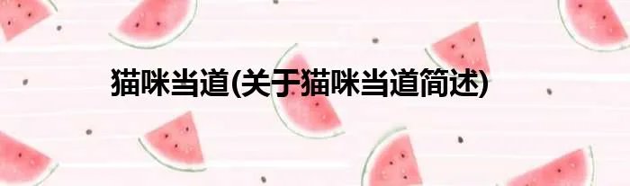 猫咪当道(关于猫咪当道简述)