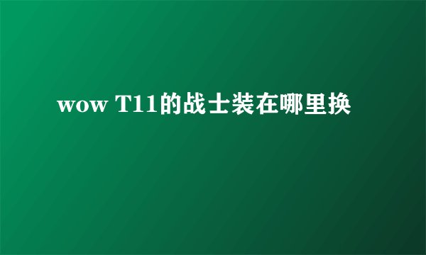 wow T11的战士装在哪里换