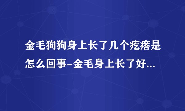金毛狗狗身上长了几个疙瘩是怎么回事-金毛身上长了好多疙瘩（像脓包）怎么办？