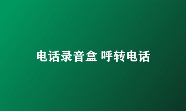 电话录音盒 呼转电话
