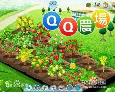 黑土地升级价格表