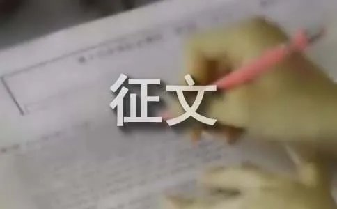 与美同行征文