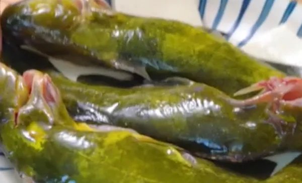 清蒸黄嘎鱼怎么做清蒸黄嘎鱼家常做法清蒸黄嘎鱼的做法