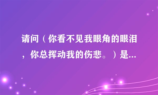 请问（你看不见我眼角的眼泪，你总挥动我的伤悲。）是那首歌名？
