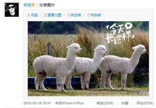 郑恺回应辣妈韦雪事件 网红辣妈韦雪离婚了吗