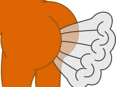 经常放臭屁竟是身体这处在求救（图）