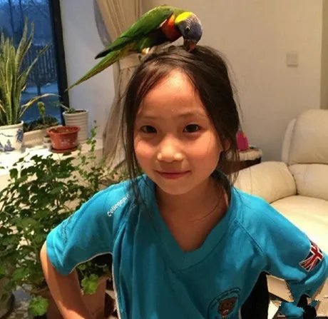 高晓松为女儿庆生 网友：幸好长得不像爹