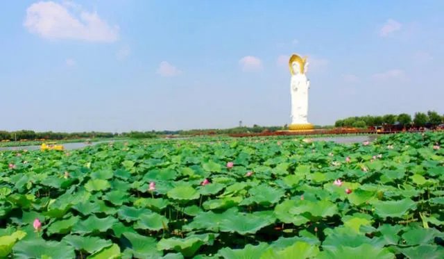 沧州有哪些有趣的地名？