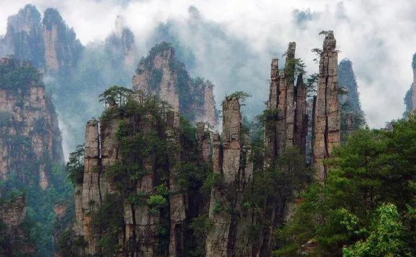 为什么地球是圆的而土星有土环，为什么没有。为什么？而土星是圆的，地球没有。为什么？