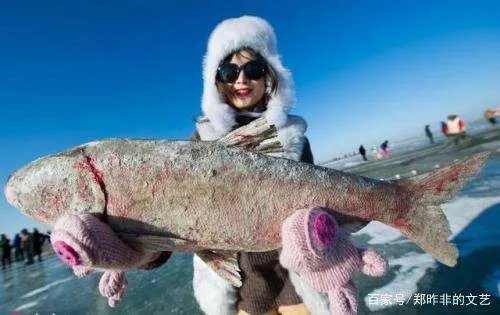 查干湖头鱼是什么鱼