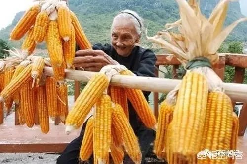 你想去广西旅游吗？