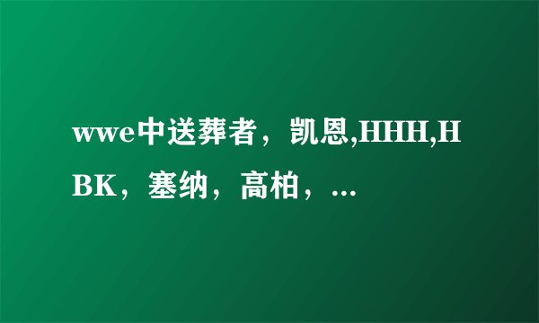 wwe中送葬者，凯恩,HHH,HBK，塞纳，高柏，布罗克莱斯纳，胡克霍根，终极战士,Y2J，艾吉，杰夫哈迪，大秀哥？