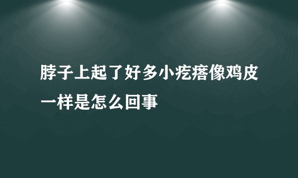 脖子上起了好多小疙瘩像鸡皮一样是怎么回事