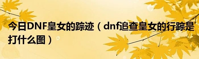 今日DNF皇女的踪迹（dnf追查皇女的行踪是打什么图）