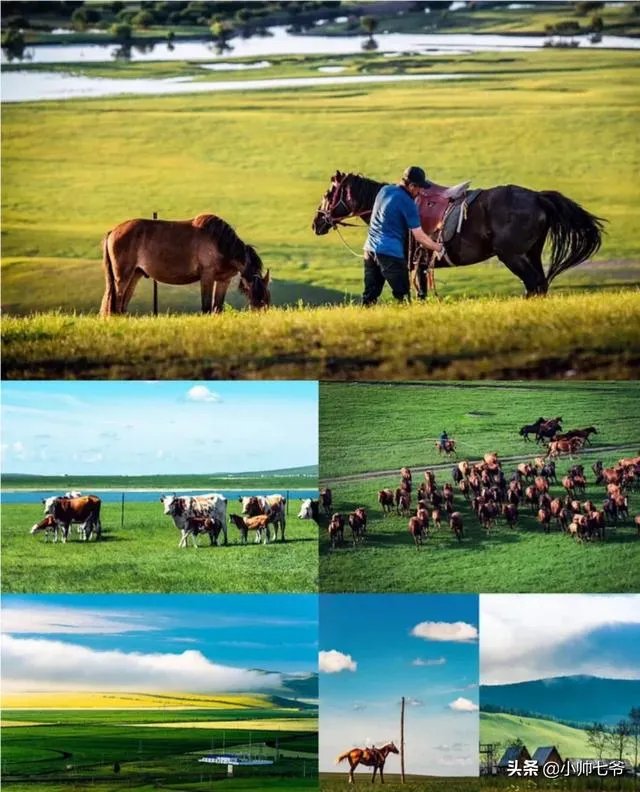 暑期旅行大家都去哪里?适合孩子的地方?