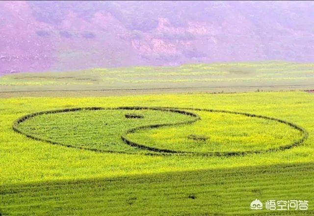 太极阴阳道，有对吗？