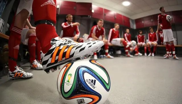 汗血宝靴的简介