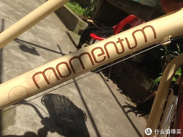 #本站首晒# 真正的买菜车！GIANT 捷安特 MOMENTUM 七速女式休闲自行车