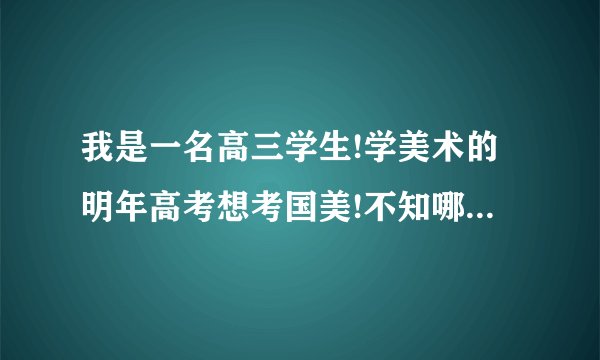 我是一名高三学生!学美术的明年高考想考国美!不知哪有好的画室是针对国美!急啊