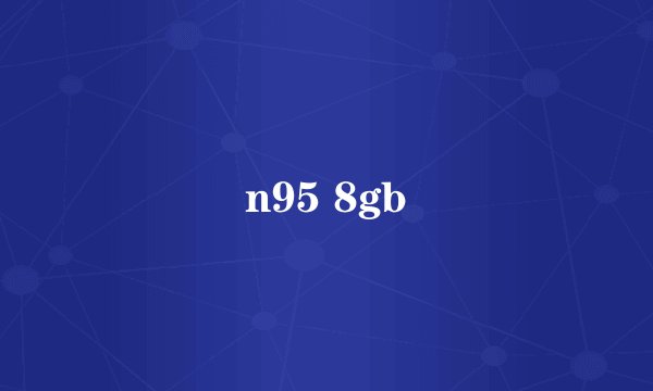 n95 8gb