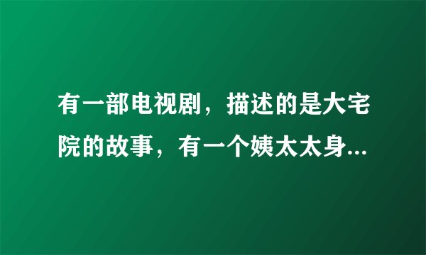 有一部电视剧，描述的是大宅院的故事，有一个姨太太身边的丫鬟是个男人，而且是偷情的，这部电视剧叫什么