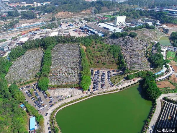 深圳迎来清明扫墓高峰是什么情况?