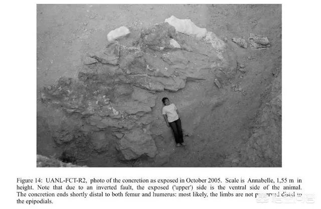 远古时期，地球上最大的食肉动物“里奥普鲁顿”真的存在吗？