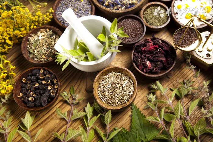 开一家宠物美容店需要花费多少钱